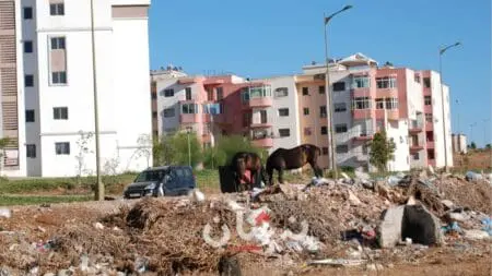 المدينة التي كلفت 2300 مليار وقال وزير أنها تصلح لبيع “الزريعة” فقط