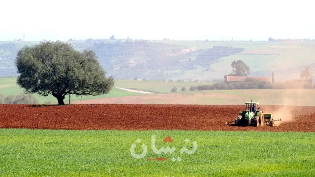 التساقطات المطرية تنعش آمال الفلاحين
