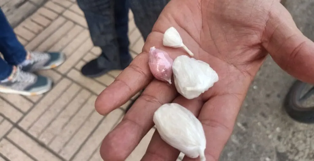 “البوفا” يهدد باستفحال الجريمة بالمغرب..مكونات خطيرة وإدمان سريع
