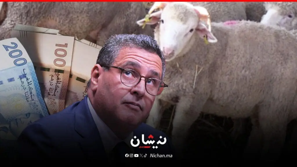الحكومة تقرر صرف 500 درهم كدعم عن كل خروف عيد مستورد