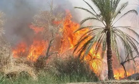 “طاجين” يتسبب في حريق مهول بـ”بوذنيب”