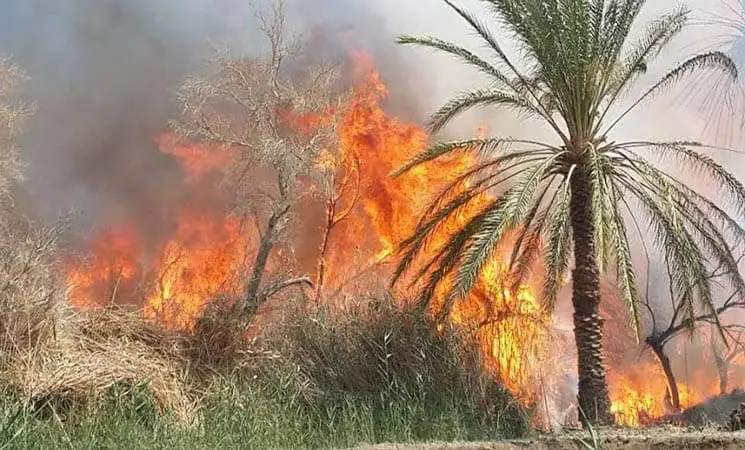“طاجين” يتسبب في حريق مهول بـ”بوذنيب”