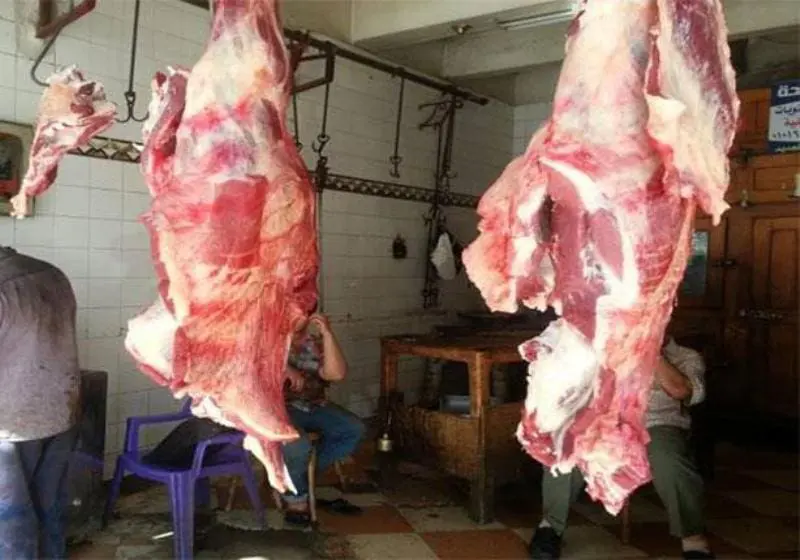 لهيب الأسعار يرفع نشاط الذبيحة السرية ولحوم “النعجة”