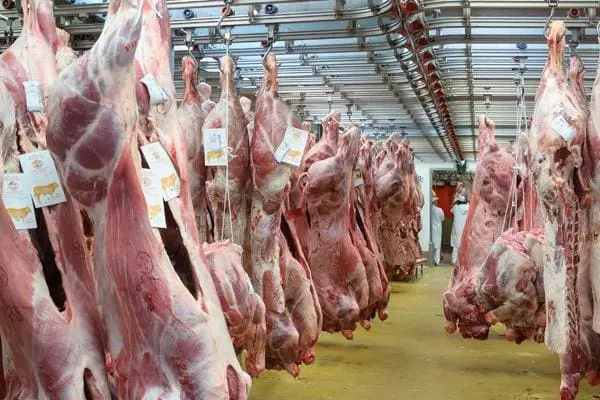 الداخلية ترصد ثلاثة ملايير لتأهيل وإصلاح عدد من المجازر