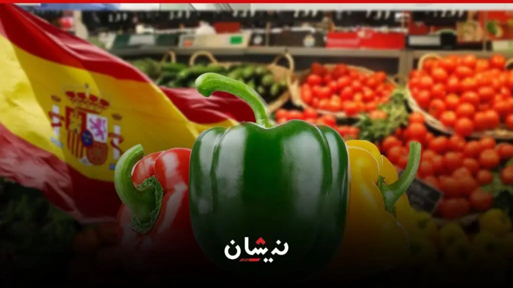 الفلفل المغربي ممنوع من البيع في اسبانيا بسبب مواد كيماوية