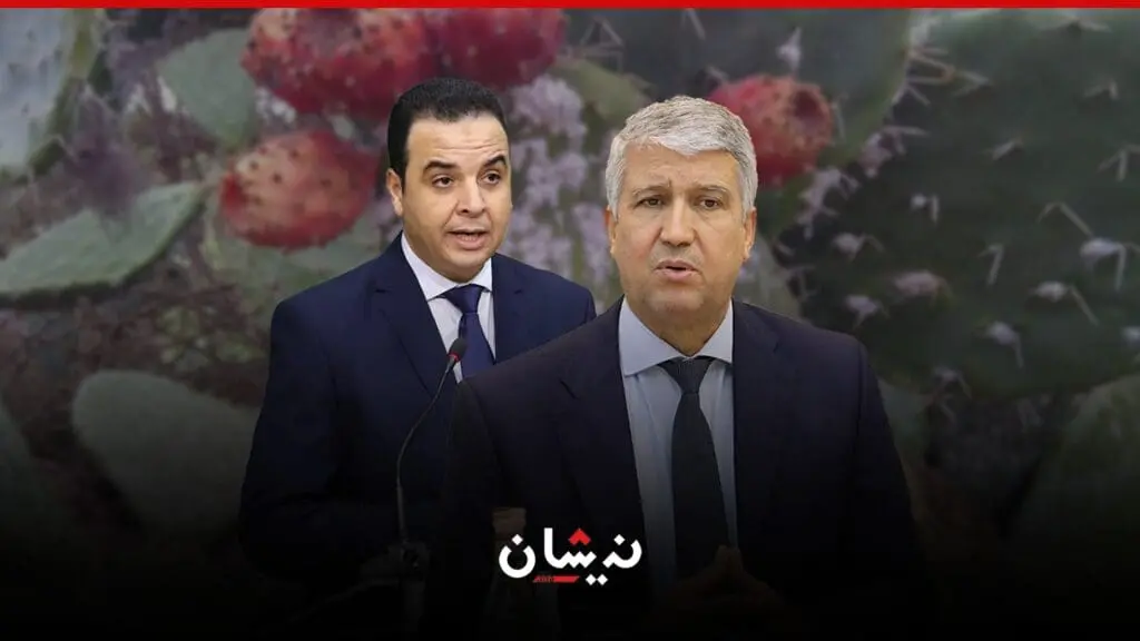 الحكومة تفشل في إنقاذ “الهندية” من الحشرة القرمزية