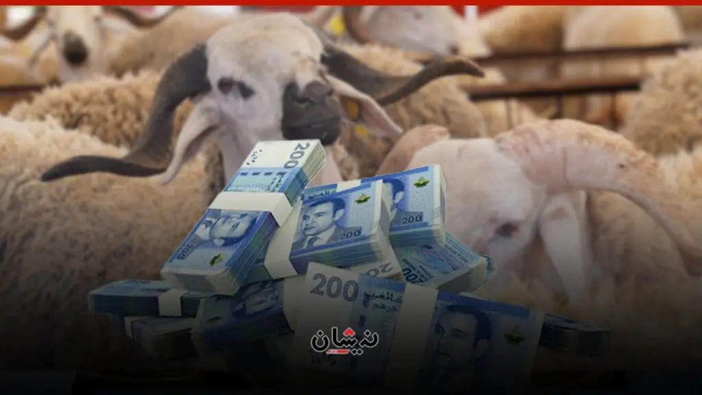 5 أشخاص سيحتكرون عشرات الملايير المخصصة لاستيراد 600 ألف أضحية