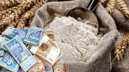 ملفات فساد و تلاعب في دقيق يكلف الدولة 150 مليار توضع في الثلاجة