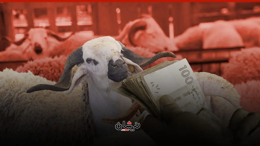 “احتكار” استيراد 600 ألف أضحية للعيد يُشعل الأسعار
