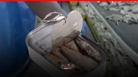 علب سردين صينية تُكبد المنتجين المغاربة خسائر بعشرات الملايير