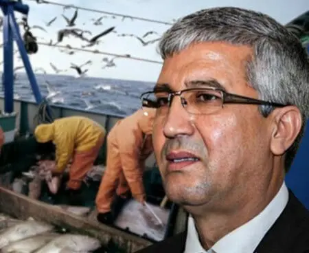 فتح تحقيق في نفوق كميات هائلة من “اللانشوبة” في سيدي إفني