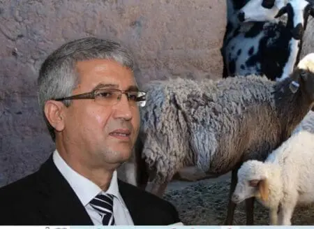 كسابون صغار يكشفون تحول دعم استيراد أضاحي العيد لـ”وزيعة”