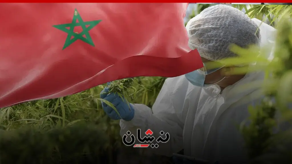 رسميا بالمغرب..الشروع في تسويق مكملات غذائية من “الكيف”