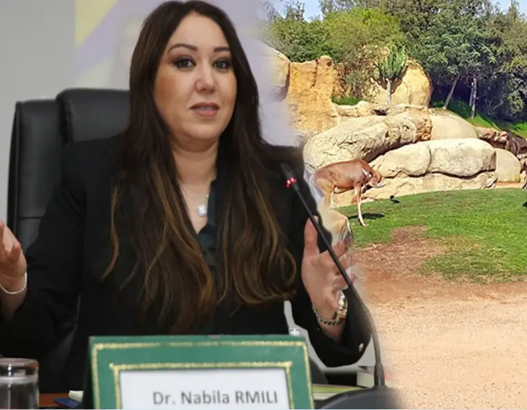 حديقة عين السبع.. ميزانية تجاوزت 27 مليار والرميلي تهدد بفسخ العقد