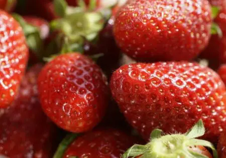 صحف إسبانية “رصينة” تنضم إلى المحرضين ضد الفراولة المغربية