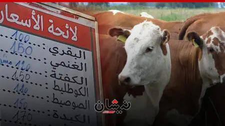 فاتورة استيراد الأبقار تتجاوز 185 مليار سنتيم خلال 18 شهرا فقط..