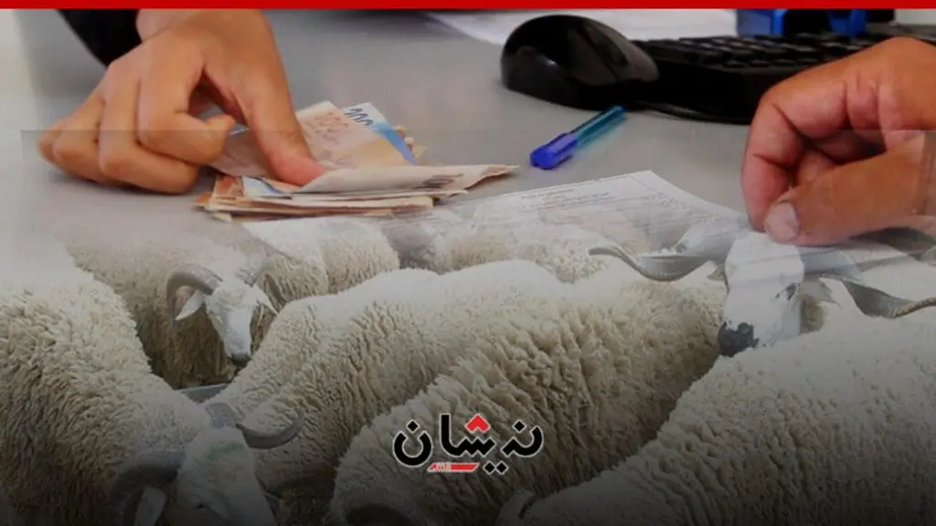 مطالب للحكومة بصرف الدعم للأسر بشكل استثنائي قبل عيد الأضحى