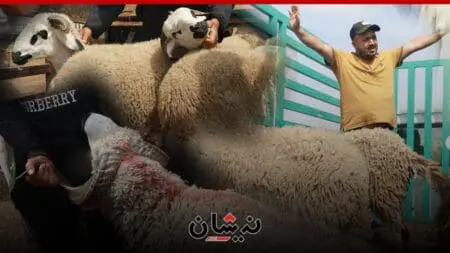 لهيب الأسعار والشناقة يدفعان المغاربة إلى تأجيل عملية شراء الاضاحي