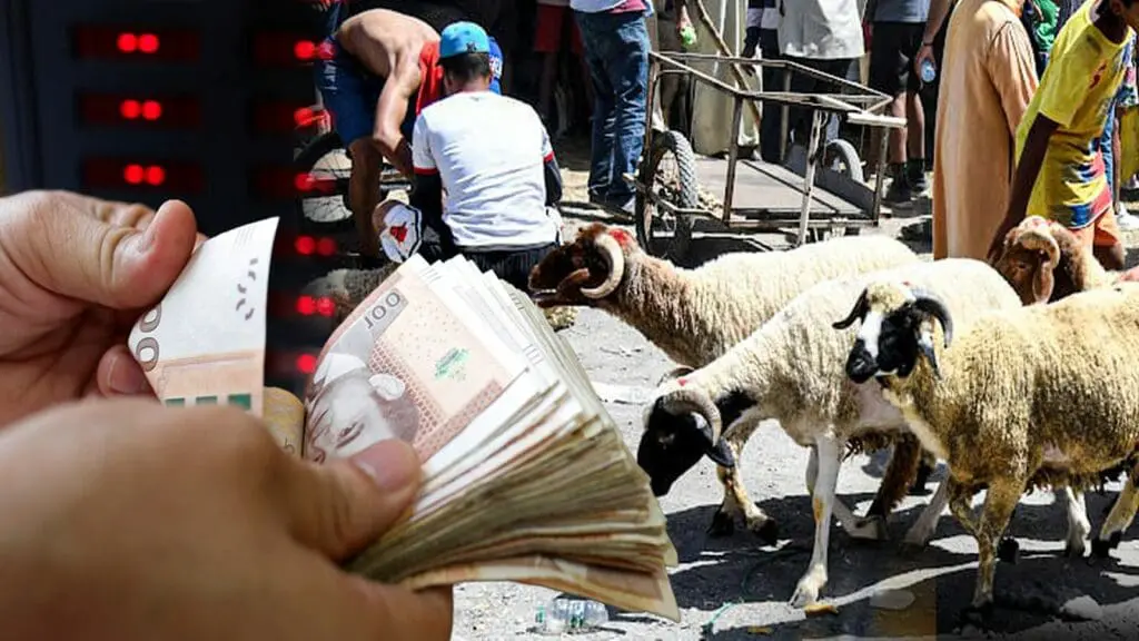 الحكومة تتجه لمراجعة آلية الدعم بعد فضيحة العيد