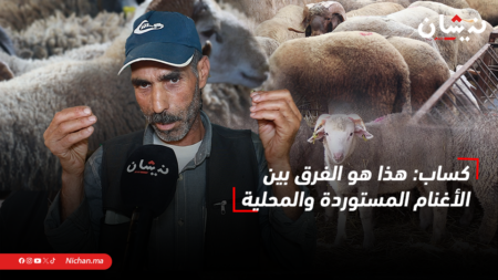كساب: هذا هو الفرق بين الأغنام المستوردة والمحلية