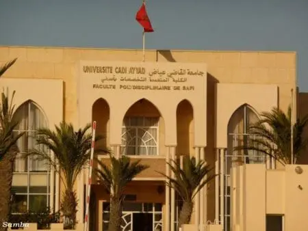 هيئة حقوقية تستنكر رسوب 500 طالب في كلية آسفي وتطالب بتصحيح الوضع