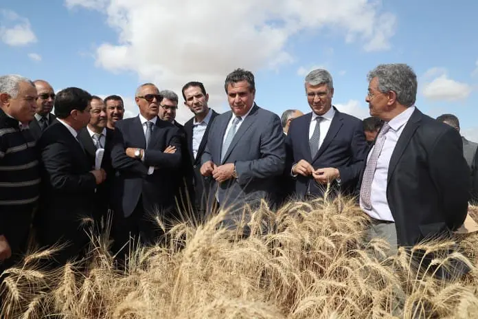 بسبب الجفاف..المغرب يستعد لاستيراد كميات غير مسبوقة من القمح