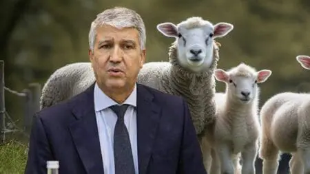 وزير الفلاحة: لجأنا لاستيراد الغنم لحماية “الخروفة” و الجفاف سبب الغلاء