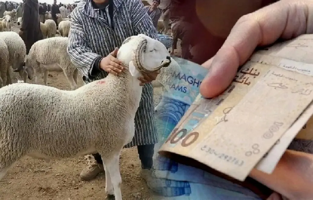 التقدم والاشتراكية..الحكومة قدمت دعما سخيا لمستوردي الغنم مقابل الغلاء