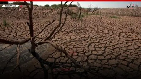 كيف سينعكس الجفاف الخطير بالمغرب على إمدادات الغذاء العالمية؟
