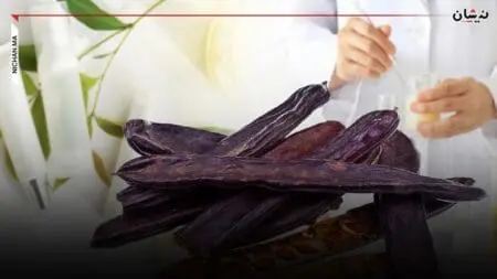 الخروب المغربي مطلوب في صناعات التجميل في أوروبا