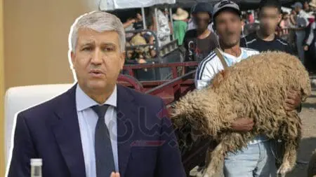 هل كذبت الحكومة على المغاربة..تقرير يكشف سبب غلاء أضاحي العيد