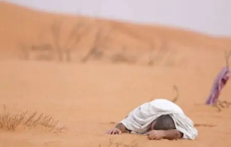 العثور على جثث 12 سوريا وجزائريين اثنين تاهوا في الصحراء