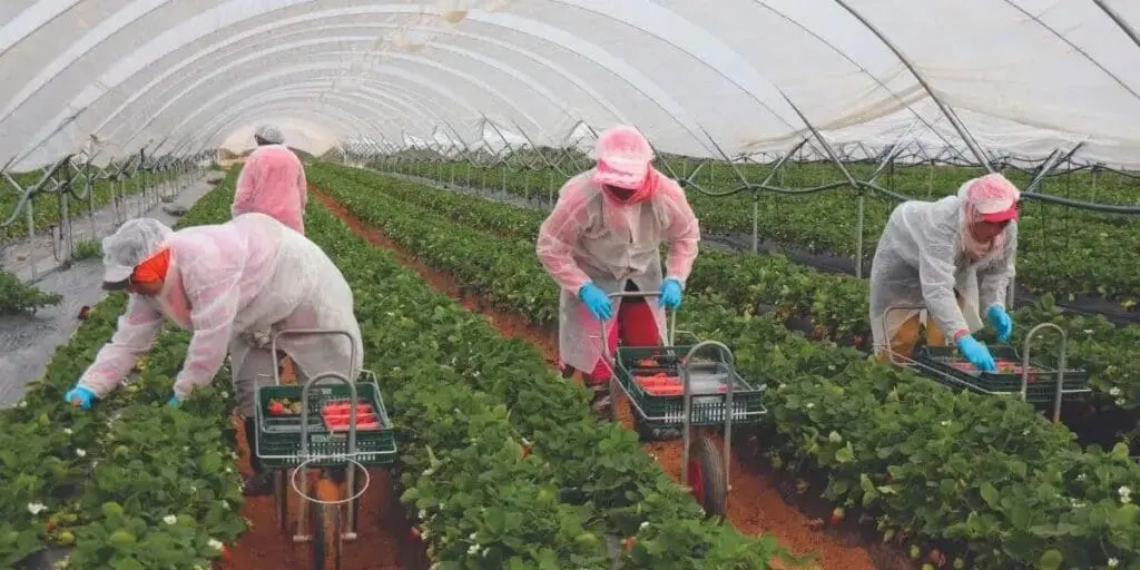 إسبانيا.. اعتقال 13 شخصًا بتهمة استغلال عمال موسميين من المغرب والسنغال
