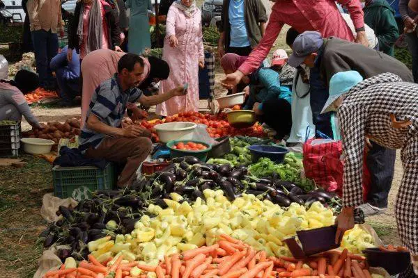 أرقام رسمية..تدهور المستوى المعيشي لـ82% من الأسر المغربية