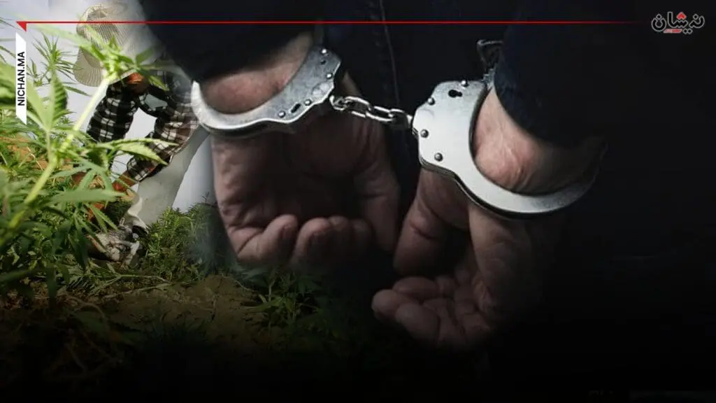 الحبس النافذ لعون سلطة بوزان بسبب زراعة القنب