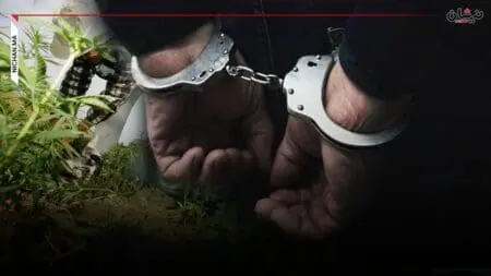 الحبس النافذ لعون سلطة بوزان بسبب زراعة القنب
