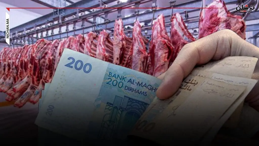 التليدي: العلف” للمحظوظين مقابل ارتفاع سعر اللحوم