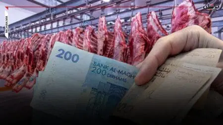 التليدي: العلف” للمحظوظين مقابل ارتفاع سعر اللحوم