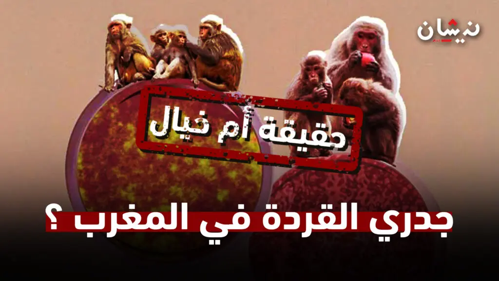 وزارة الصحة وجدري القردة.. تطمينات أم تضليل؟