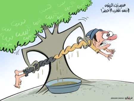 أسعار المنتجات الفلاحية تعصر المواطنين في زمن المخطط الأخضر!