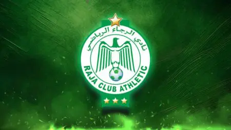 فريق الرجاء يدخل عصر الشركات بـ150 مليون درهم