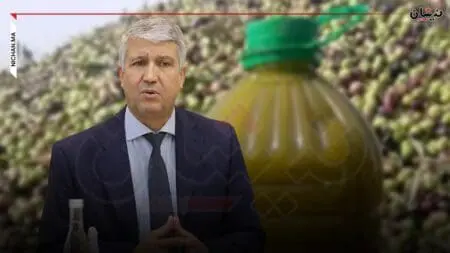 الحكومة تقدم ضمانات لمُصدري الزيتون استباقا لغلاء السعر