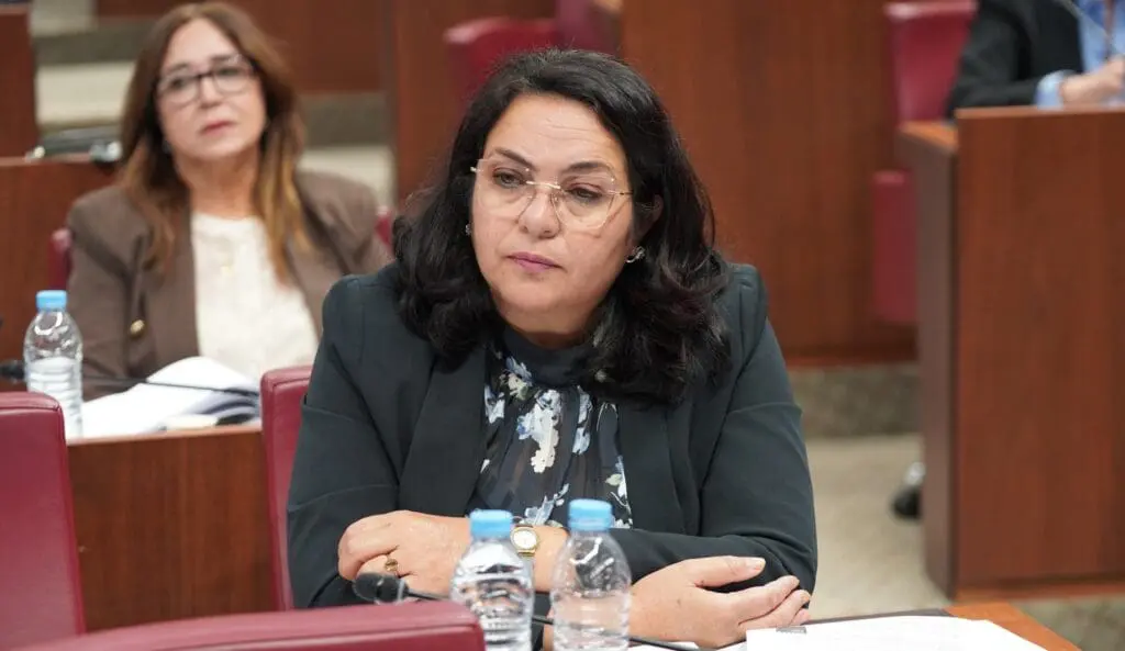 البردعي: الحكومة فشلت في دعم الماشية وتمنح الامتيازات للمقربين