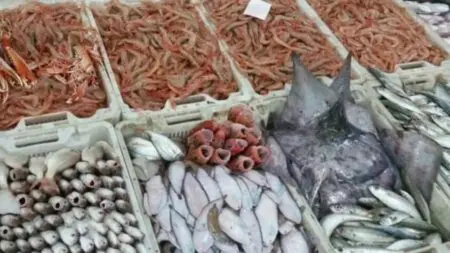 تسويق 6.14 مليار درهم من منتجات الصيد البحري إلى غاية نهاية يوليوز