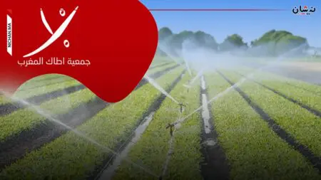 أطاك المغرب..المخطط الأخضر شجع على استغلال “شبه إجرامي” للموارد المائية