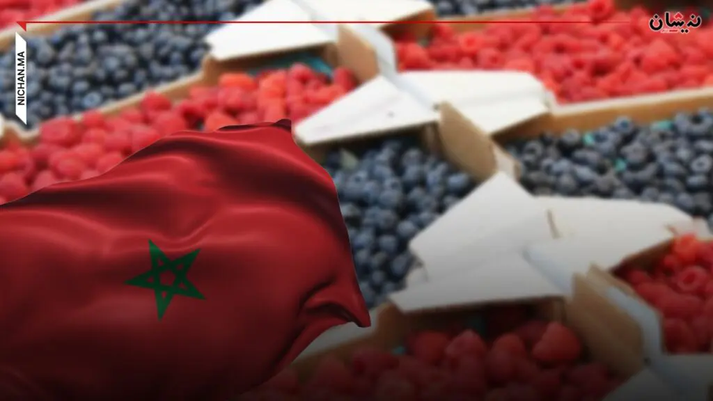 المغرب يُحطم رقما قياسيا في تصدير العُليق الطازج بـ67 ألف طن