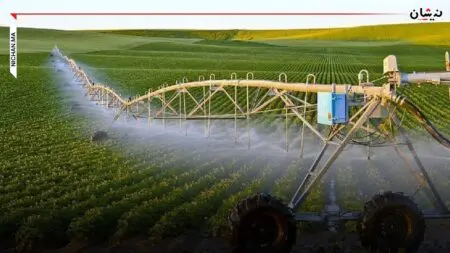 كيف استنزفت الفلاحة السقوية الموارد المائية وهددت الأمن الغدائي للمغرب..؟