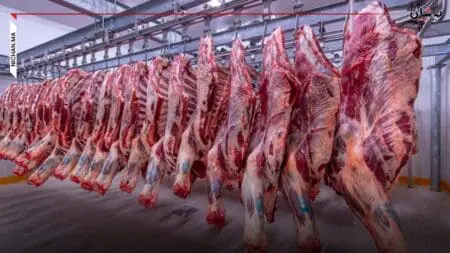 رابطة تكشف سبب غلاء اللحوم و “أعطاب” المخطط الأخضر