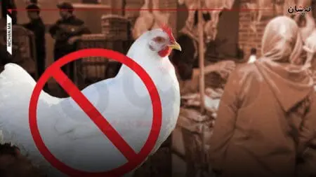 في ظل ارتفاع الأسعار..مغاربة يقاطعون الدجاج بحملة “خليه_يقاقي”