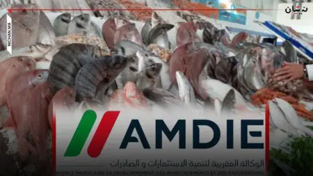 مليار سنتيم..فاتورة مشاركة وكالة التصدير في معارض للسمك والأحذية